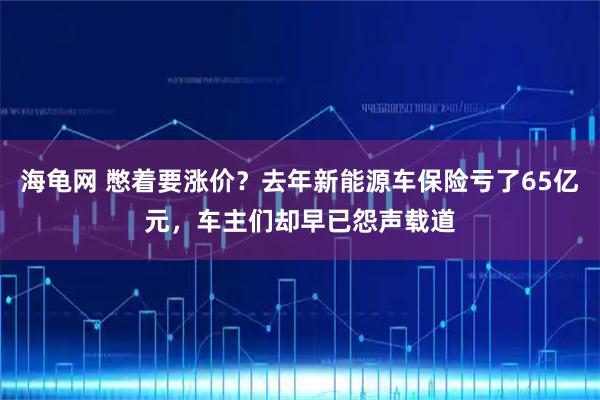 海龟网 憋着要涨价？去年新能源车保险亏了65亿元，车主们却早已怨声载道