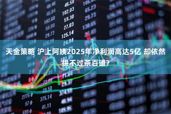 天金策略 沪上阿姨2025年净利润高达5亿 却依然拼不过茶百道?