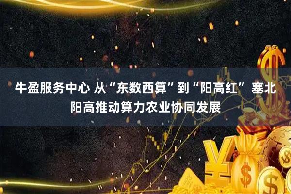 牛盈服务中心 从“东数西算”到“阳高红” 塞北阳高推动算力农业协同发展